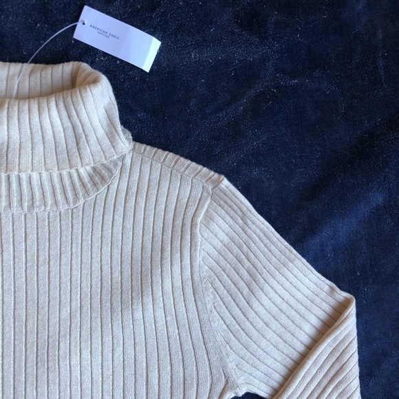SOLD! AE Oatmeal Beige Ribbed Cropped Turtleneck - Picture 2 of 7